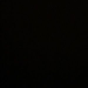 Meet your Posher, Rosa